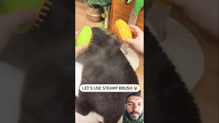 Cat hair cleanerGadgets shortyoutubeshorts [upl. by Lisbeth598]