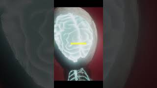 The Shocking Truth About How Your Brain Betrays You falsememories mandelaeffects glitches [upl. by Ynohtnaleahcim756]