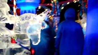 Gaylord Palms Ice 2009  2 [upl. by Kcerred]