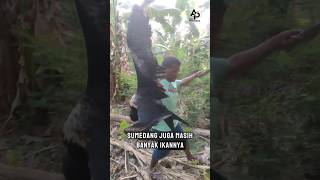 Part 2 Petualangan Seru Di Hutan Burung Raksasa petualangan bolang berburu burung laut [upl. by Adnolaj]