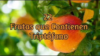 22 Frutas que Contienen Triptófano [upl. by Meg]