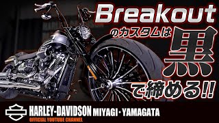 【ハーレーダビッドソン】2023年モデルブレイクアウトの最新カスタム紹介！！（ハーレーHarleyDavidson宮城仙台東北） [upl. by Nylaj]