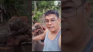 mlso sa inyo mga ka kuya Jess dyan marami salamat Halo Halo kaganapan lang Kuyajessvlogs [upl. by Eentrok]