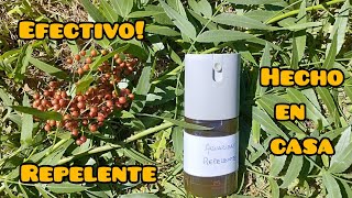 Repelente Casero de Mosquitos con Aguaribay o Molle 2da parte Barato y efectivo [upl. by Ongun]