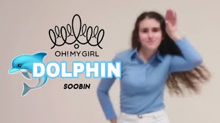 dolphin  arin amp soobin dance cover [upl. by Apps]