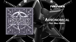 Datsik  Astronomical feat Walt Grizzly [upl. by Nesyt]