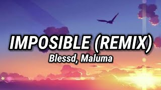 BLESSD MALUMA  IMPOSIBLE REMIX LetraLyrics [upl. by Amlet304]