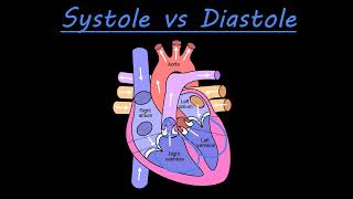 The difference between systole and diastole [upl. by Hance780]