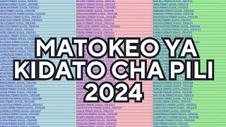 MATOKEO YA KIDATO CHA PILI 2024 NECTA FTNA RESULTS 2024HATUA ZA KUANGALIA MATOKEO YA FORM TWO [upl. by Ciccia]