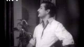 nee sigge singarame oh cheli song in ntr bhagyarekha [upl. by Yelkao906]