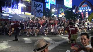 飛鳥連 高円寺阿波踊り 2017826 純情商店街 [upl. by Eartha]