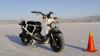 Скутер Honda Zoomer 50 AF58 PGMFI kupiscooterru [upl. by Naid]