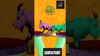 Bakra Ladi Bado Badi shorts youtubeshorts viralvideo islamicvideo vfxshorts vfxeadting vfx [upl. by Granniah]