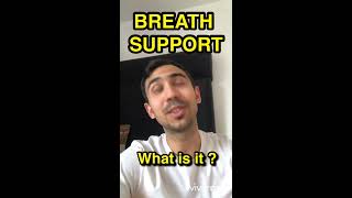 BREATH SUPPORT  Appoggio  what the hell is it [upl. by Nednyl172]