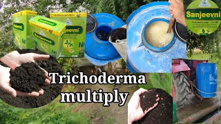 Trichoderma multiply  trichoderma bio fungicide [upl. by Wanfried]