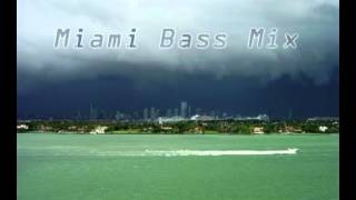 Leeroy Thornhill  Miami Bass Mix [upl. by Alger846]