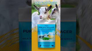 Milk Replacer for Goats Kid kid bakra goat topqualitykotagoat farming [upl. by Keung]