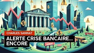 Alerte Nouvelle Crise Bancaire  Ce Que Vous Devez Savoir [upl. by Nahtanohj]