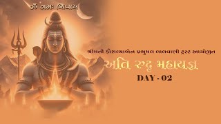 Day  2  Ati Rudra Yagna [upl. by Zanas]