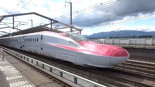 ひたすら通過する東北新幹線  Tohoku Bullet Trains Passing by at Stations [upl. by Assert]