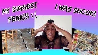 EARTHQUAKE EXPERIENCEMY BIGGEST FEAR  TRINIDAD YOUTUBER [upl. by Friede]