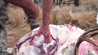 EatWild  Skinning and Boning Out a Deer  How to Backpack an Animal Out from the Field [upl. by Luapnhoj]