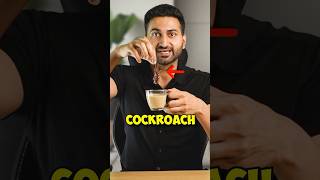 Cockroach in Coffee [upl. by Holihs]