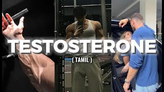 9 Worst Testosterone Killers avoid at all costs [upl. by Bisset117]