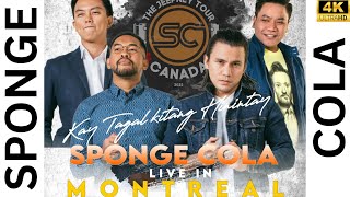 SPONGE COLA LIVE IN CONCERT [upl. by Antonio621]