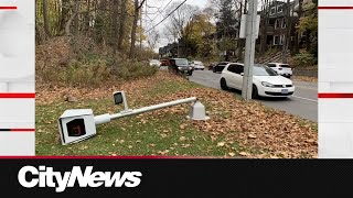 Vandals chop down Torontos most infamous speed camera [upl. by Jacquetta322]