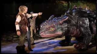 How to Train Your Dragon Live Spectacular [upl. by Lowry]