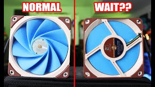 This Fan Crushes Noctua A12x25 by 125  Fan Showdown S6E5 [upl. by Wakerly17]