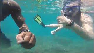 pink beach snorkeling trip in Lombok [upl. by Marvin]