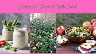 🍎 Broccoli Salad Recipe [upl. by Hillell]