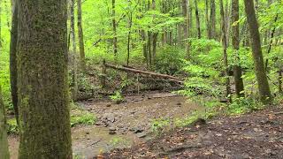 Rainy Sugarlands Valley Nature Trail 9 17 24 [upl. by Yeldud]