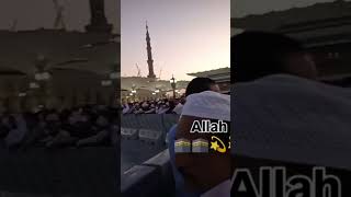 song madina dekhenge 🤲🤲🤲🤲 [upl. by Lleksah]