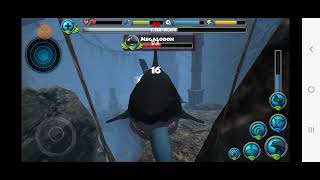 Dolphin Simulator Megalodon Boss [upl. by Enerehs]