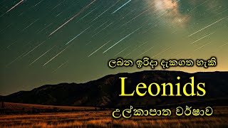 Leonids meteor shower leonid [upl. by Adnoryt185]