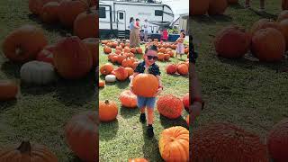 Strong little boy myson pumkin pumpkinpatch rapragerfamilyfarn subscribe share [upl. by Mercer]