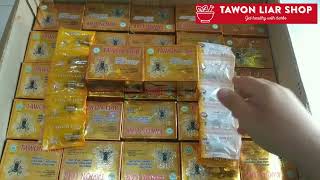 Tawon Liar Video Wild Wasp Herbs Original [upl. by Hsaka]