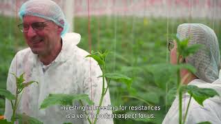 How Rijk Zwaans Trial Centre High Tech enables us to pursue innovation in cucumber [upl. by Moreta]