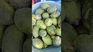 papayas pa more [upl. by Dublin]