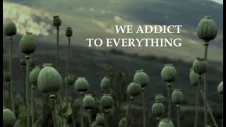 We Addict To Everything  Terence McKenna [upl. by Kyd]