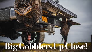 Multiple Turkey Hunts Big Gobblers Up Close  Turkey Hunt Compilation UNSEEN FOOTAGE [upl. by Ransell]