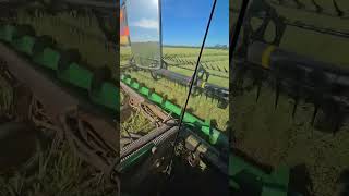 Canola Harvest shorts farming agriculture machine technology automobile tractor satisfying [upl. by Tati]