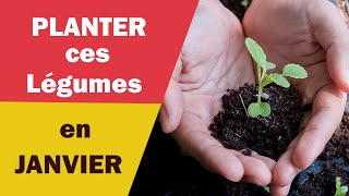 Quelles Légumes Planter en Janvier  🌶️🧅🥬 [upl. by Sager]