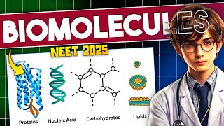 BIOMOLECULES Biology ONE SHOT Revision  Biology ONE SHOT For NEET  Biomolecules class 11 [upl. by Atlas]