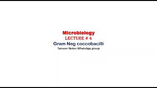 microbiology lecture 4 Gram negative coccobacilli [upl. by Prince]