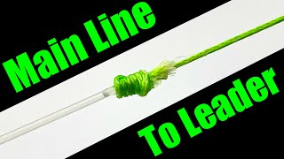 How to Tie a Leader to a Main Line  For Beginners [upl. by Ativel887]