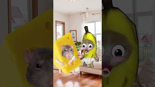 Baby Banana Cat 🍌🐱 Fights A Giant Mouse 🐭🙀 [upl. by Wivinah]